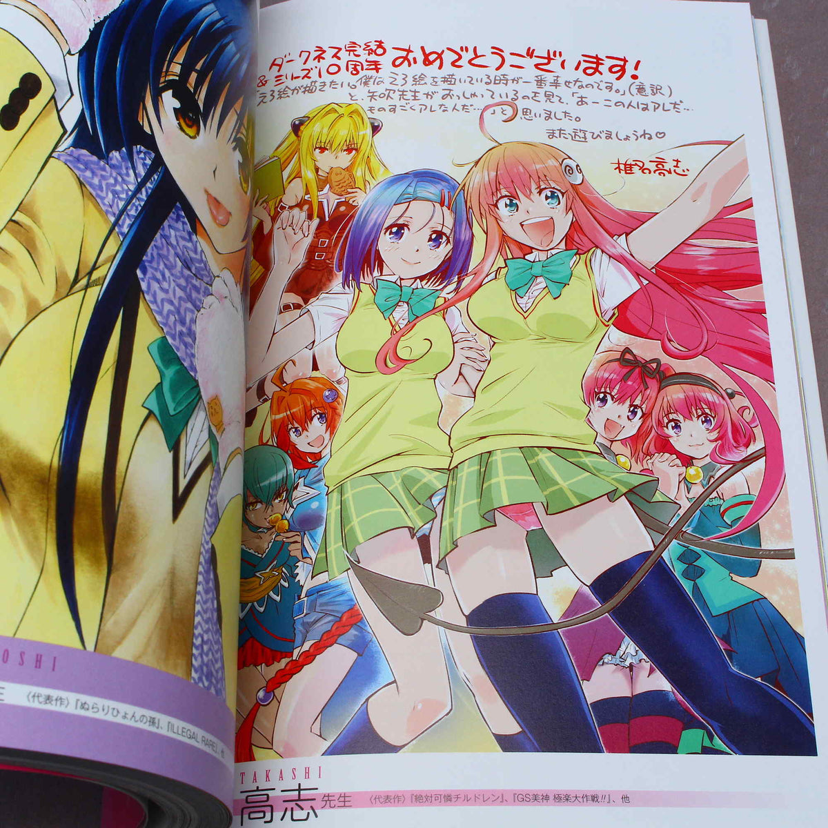 To Love-Ru Series 10th Anniversary Book `To Love-Ru Chronicle` (Art Book) -  HobbySearch Hobby Magazine Store